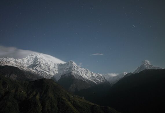 blog-image